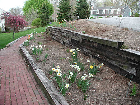 flower beds 20030507 15