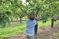 2010 09 apple picking 0731