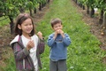 2010 09 apple picking 0737