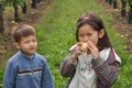 2010 09 apple picking 0739